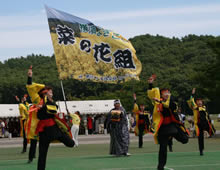 横濱よさこい菜の花組（横浜町）