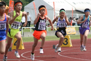 写真-むつ下北地区小学校陸上競技大会2